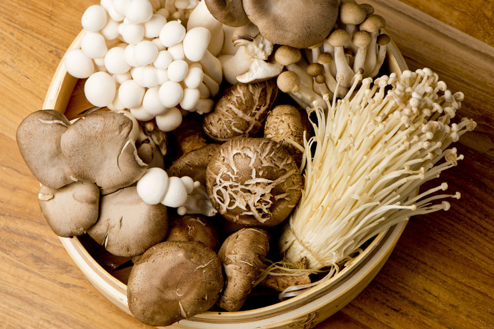 Chaga Mushroom Soup … And More